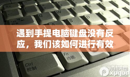 遇到手提电脑键盘没有反应，我们该如何进行有效的问题解决？