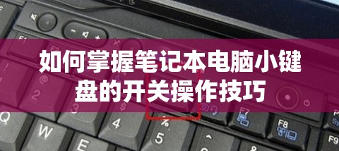 新奥门特免费资料大全管家婆,探索生活中的细腻瞬间_活动款.6.446