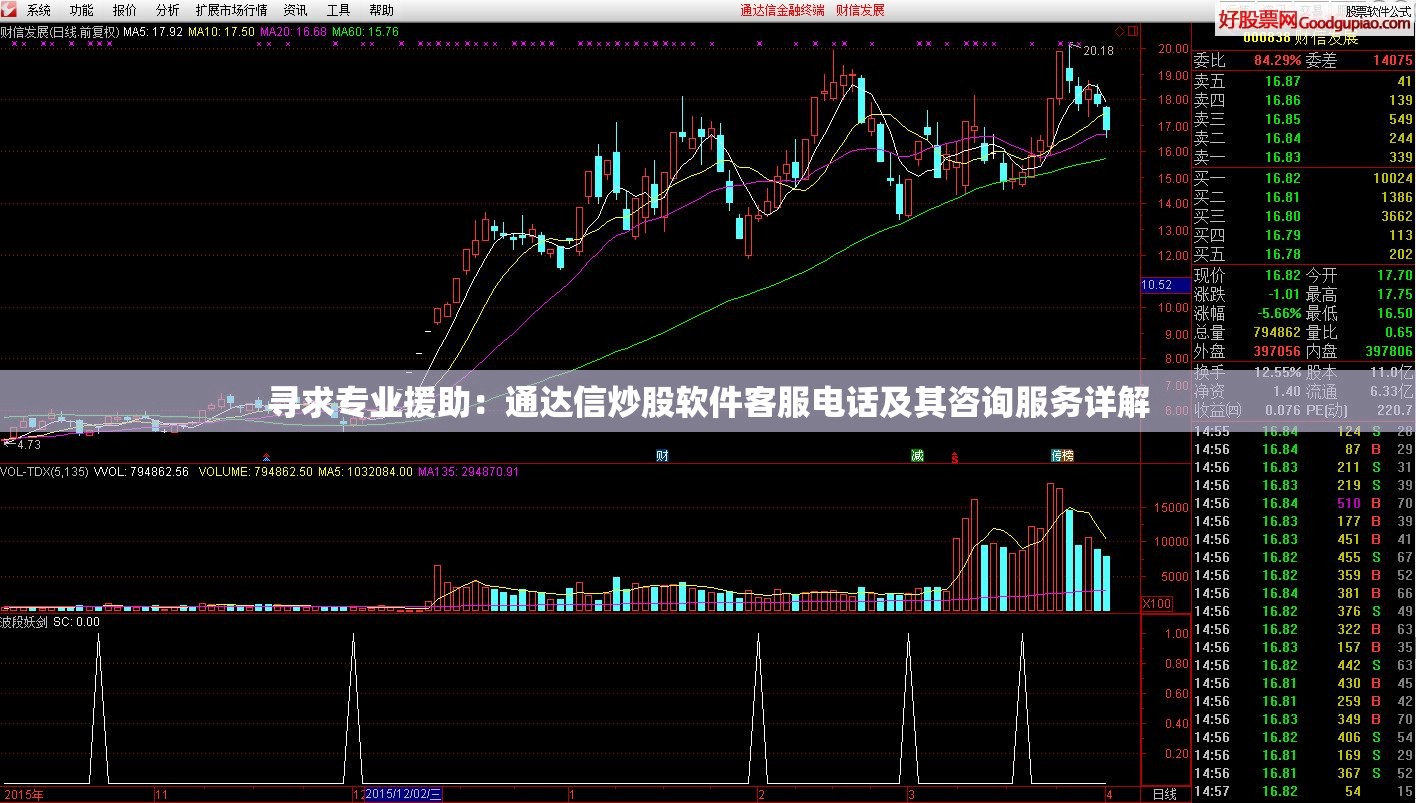 寻求专业援助：通达信炒股软件客服电话及其咨询服务详解
