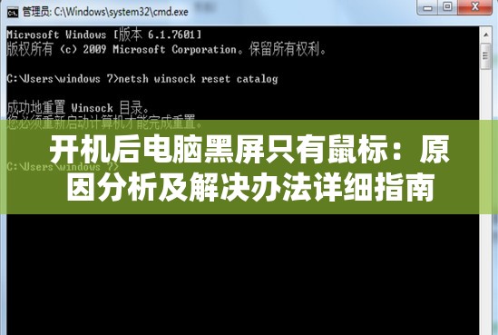 新管家婆一句话198期：厨房小妙招，让生活更便捷和美味