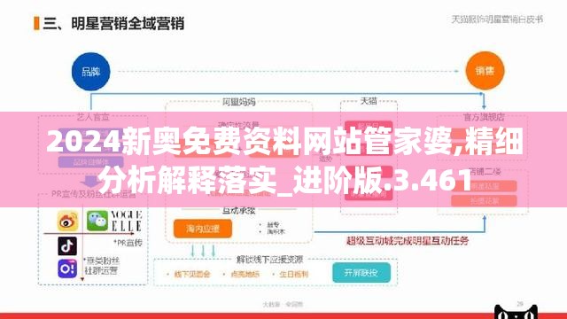 2024新奥免费资料网站管家婆,精细分析解释落实_进阶版.3.461