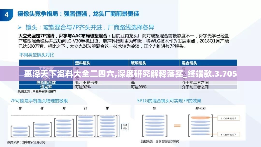 惠泽天下资料大全二四六,深度研究解释落实_终端款.3.705