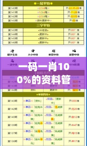 一码一肖100%的资料管家婆,系统分析解释落实_迷你型.6.34