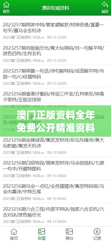 管家婆一码一肖100中奖|探索澳门魅力的另一面_XR.4.10