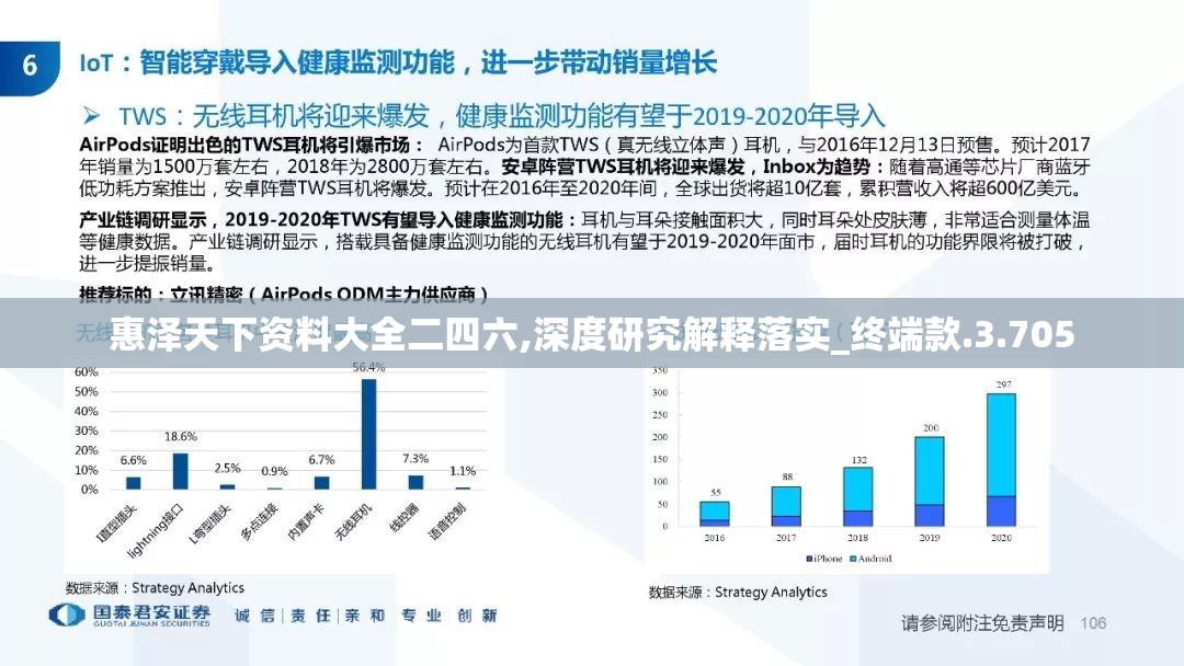 惠泽天下资料大全二四六,深度研究解释落实_终端款.3.705