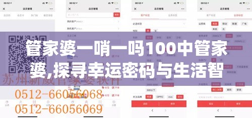 管家婆一哨一吗100中管家婆,探寻幸运密码与生活智慧_潮流版WSAP.4.665