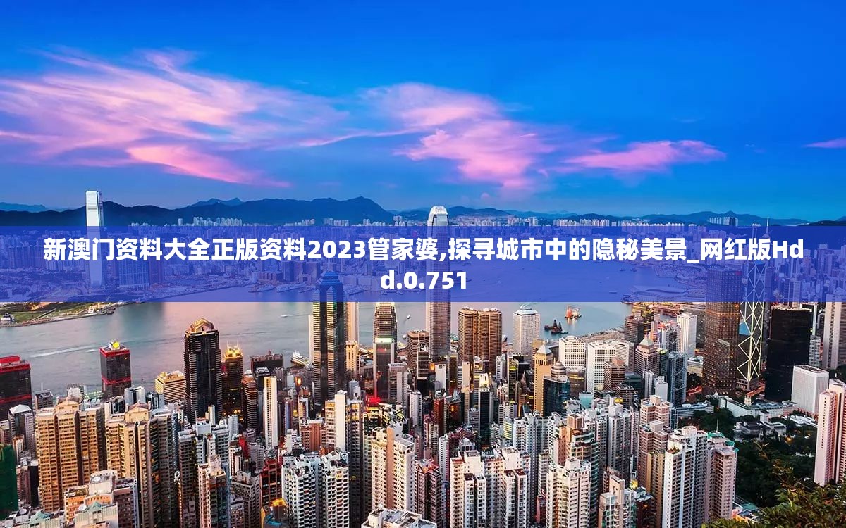 新澳门资料大全正版资料2023管家婆,探寻城市中的隐秘美景_网红版Hdd.0.751