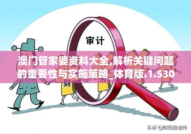 澳门管家婆资料大全,解析关键问题的重要性与实施策略_体育版.1.530