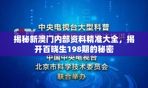 (小小枪战无限钻石版)小小枪战无限内购版深度解析，游戏体验升级，内购价值何在？