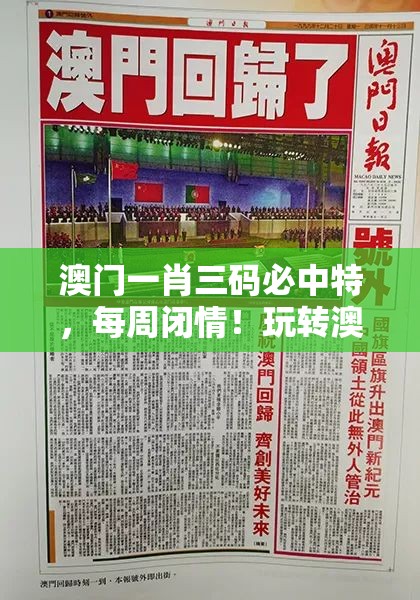 2024今晚新澳门开奖结果出来|实时解答解释落实_扩展版.9.867