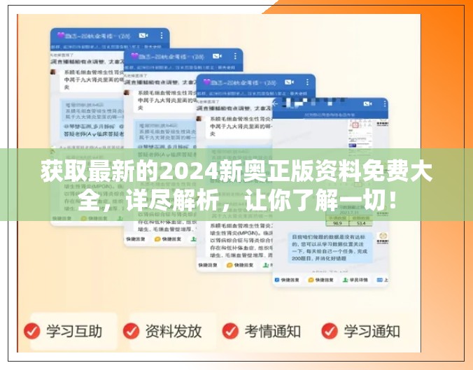 获取最新的2024新奥正版资料免费大全，详尽解析，让你了解一切！