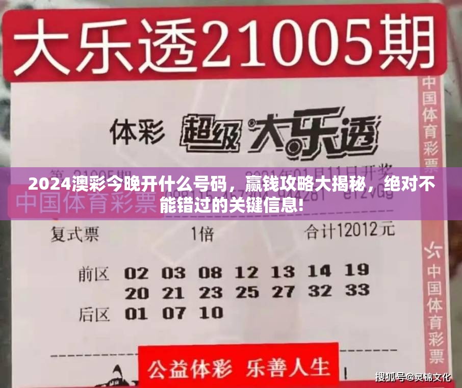 2024澳彩今晚开什么号码，赢钱攻略大揭秘，绝对不能错过的关键信息!