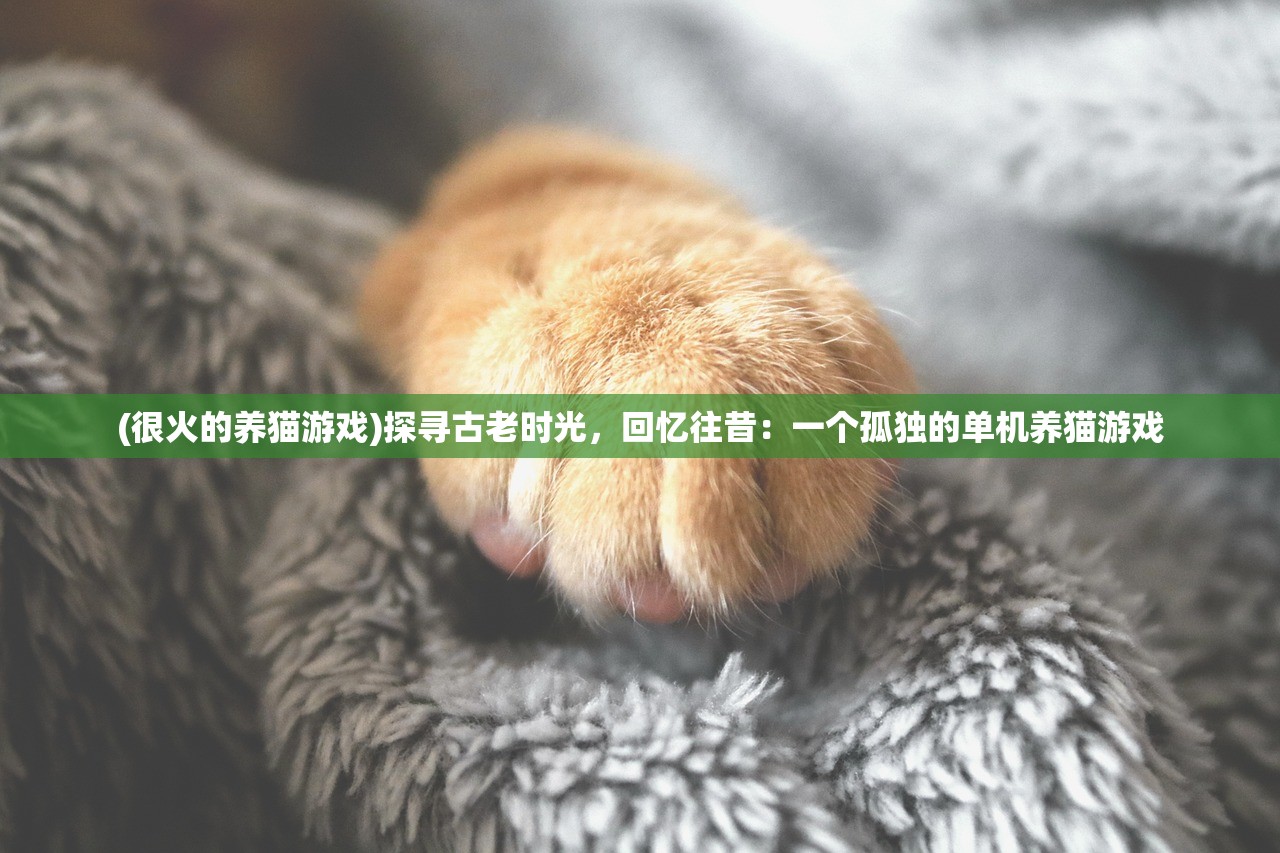 (很火的养猫游戏)探寻古老时光，回忆往昔：一个孤独的单机养猫游戏