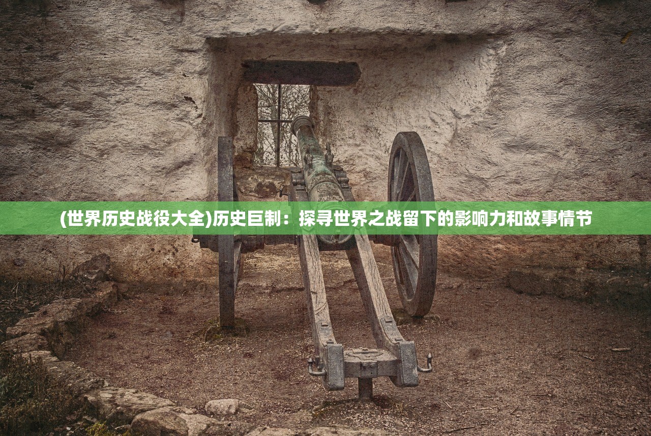 (世界历史战役大全)历史巨制：探寻世界之战留下的影响力和故事情节