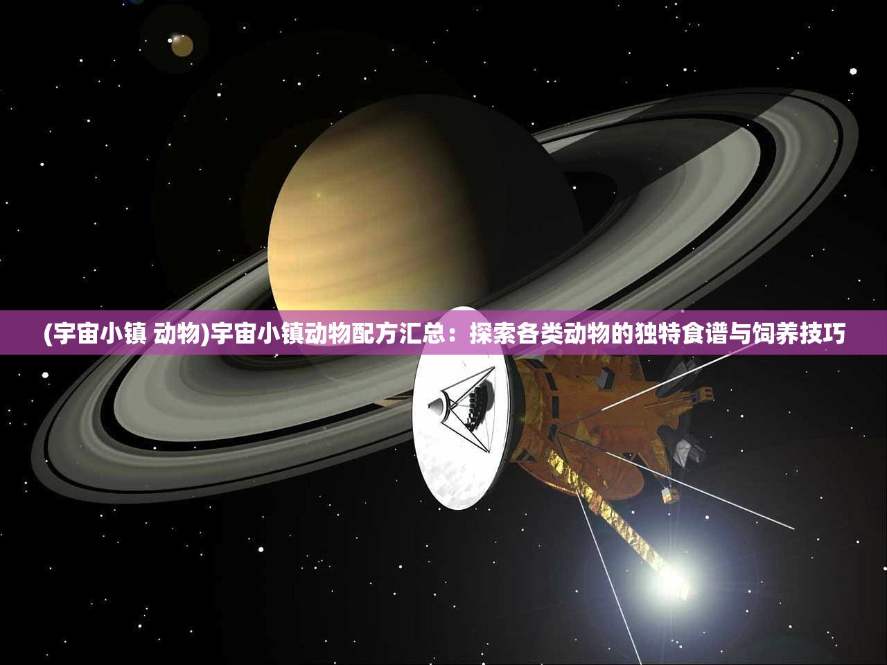 (宇宙小镇 动物)宇宙小镇动物配方汇总：探索各类动物的独特食谱与饲养技巧