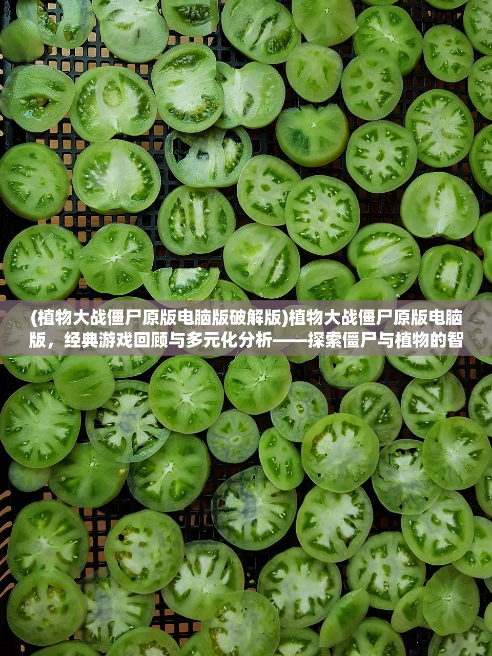 (植物大战僵尸原版电脑版破解版)植物大战僵尸原版电脑版，经典游戏回顾与多元化分析——探索僵尸与植物的智慧之战