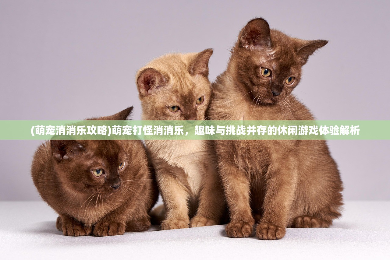 (鬼剑豪最强阵容推荐)鬼剑豪巅峰对决，揭秘最强阵容组合与策略解析