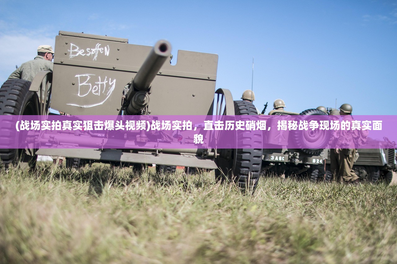 (王之宝藏)王之秘宝传奇，探寻千年宝藏背后的历史迷雾与神秘力量