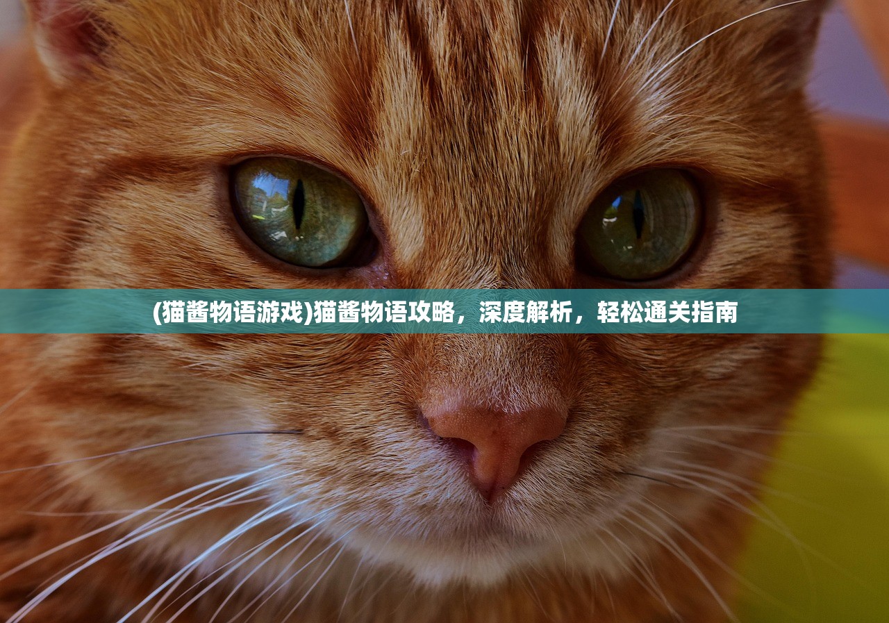 (猫酱物语游戏)猫酱物语攻略，深度解析，轻松通关指南