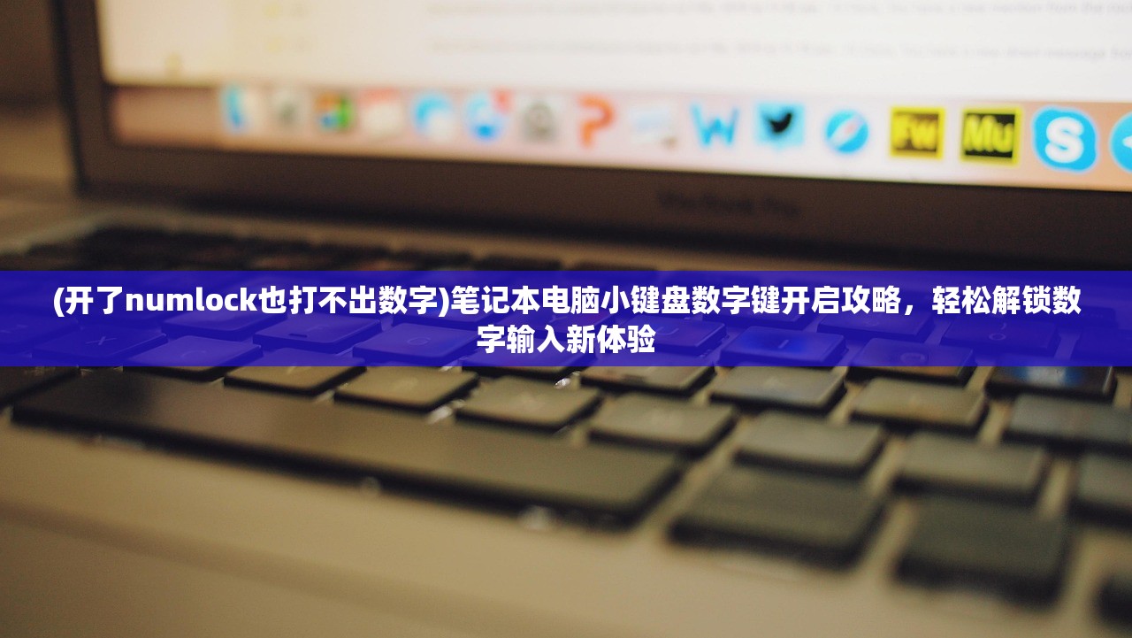 (开了numlock也打不出数字)笔记本电脑小键盘数字键开启攻略，轻松解锁数字输入新体验