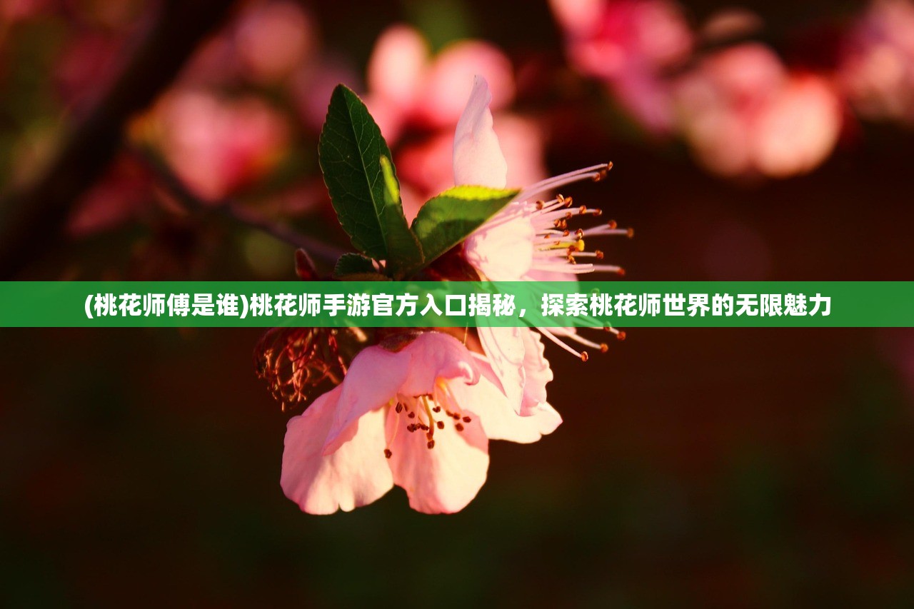 (桃花师傅是谁)桃花师手游官方入口揭秘，探索桃花师世界的无限魅力