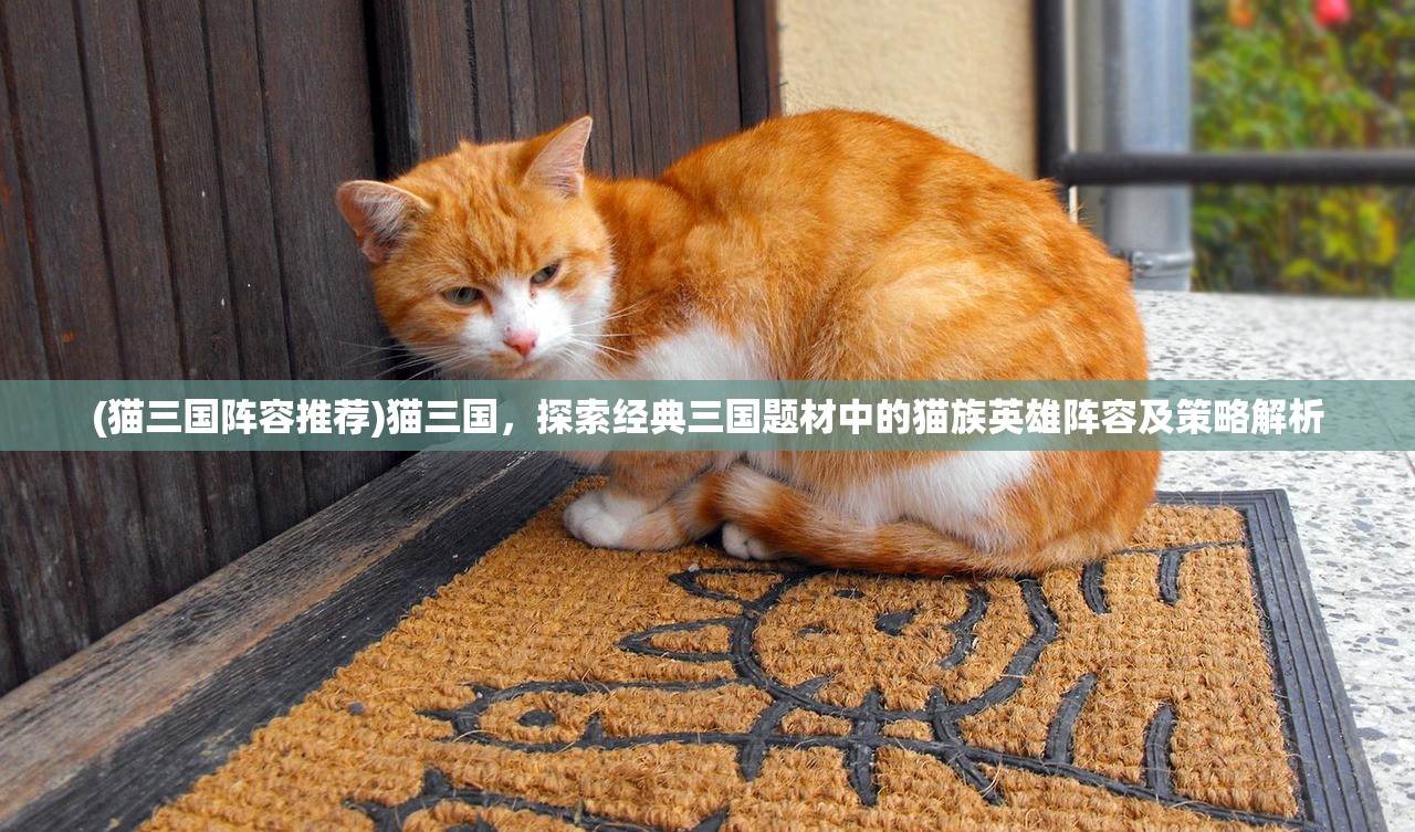 (猫三国阵容推荐)猫三国，探索经典三国题材中的猫族英雄阵容及策略解析