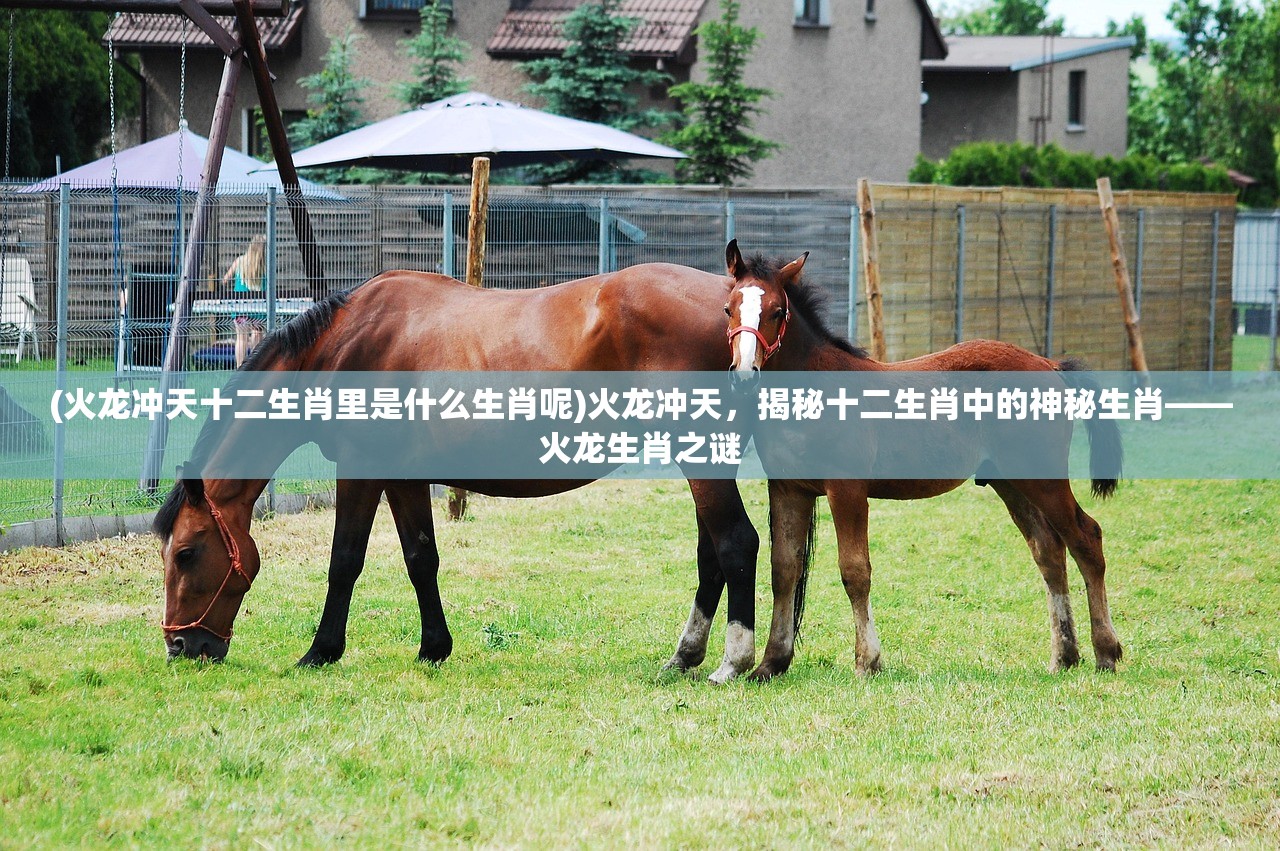 (火龙冲天十二生肖里是什么生肖呢)火龙冲天，揭秘十二生肖中的神秘生肖——火龙生肖之谜