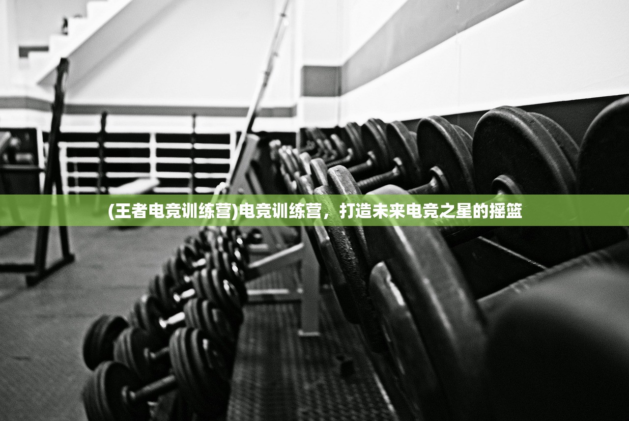 (王者电竞训练营)电竞训练营，打造未来电竞之星的摇篮