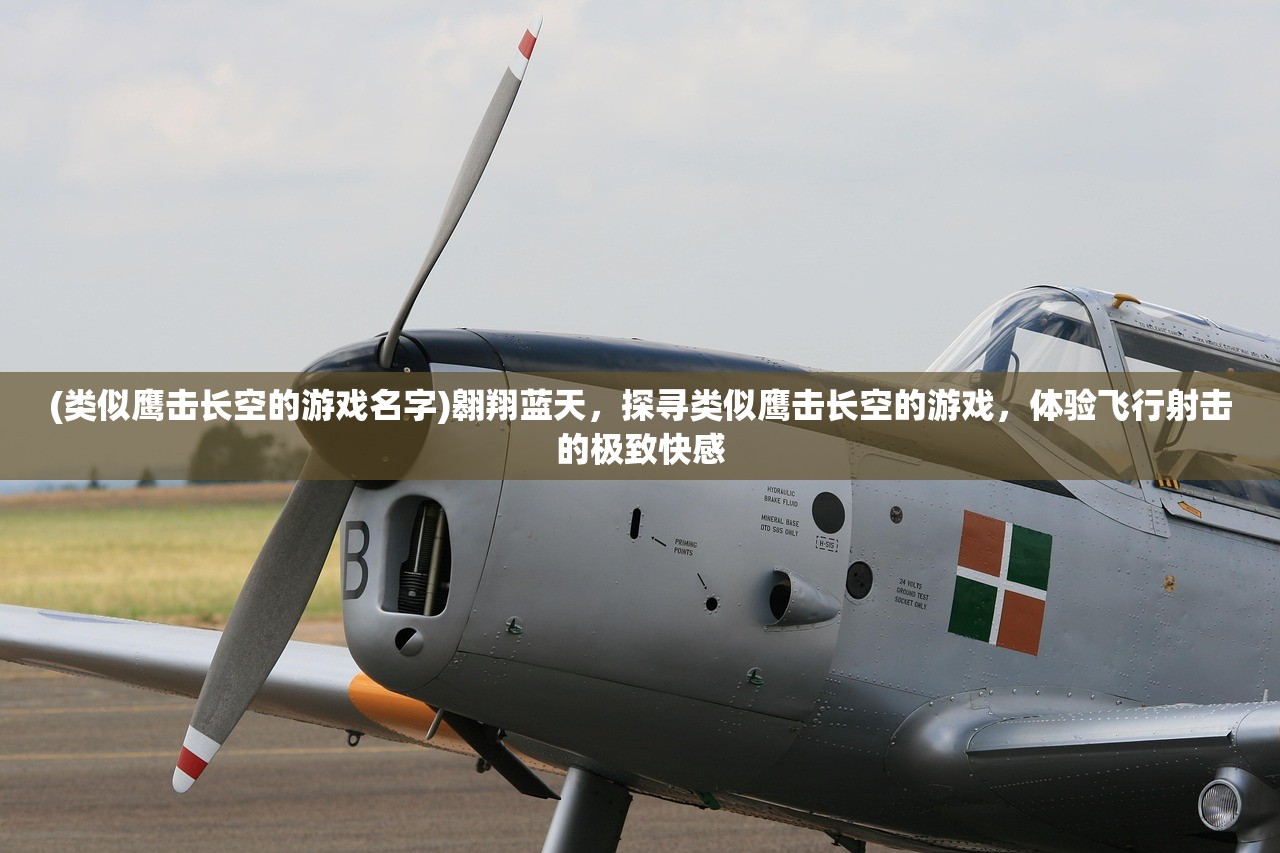 (类似鹰击长空的游戏名字)翱翔蓝天，探寻类似鹰击长空的游戏，体验飞行射击的极致快感