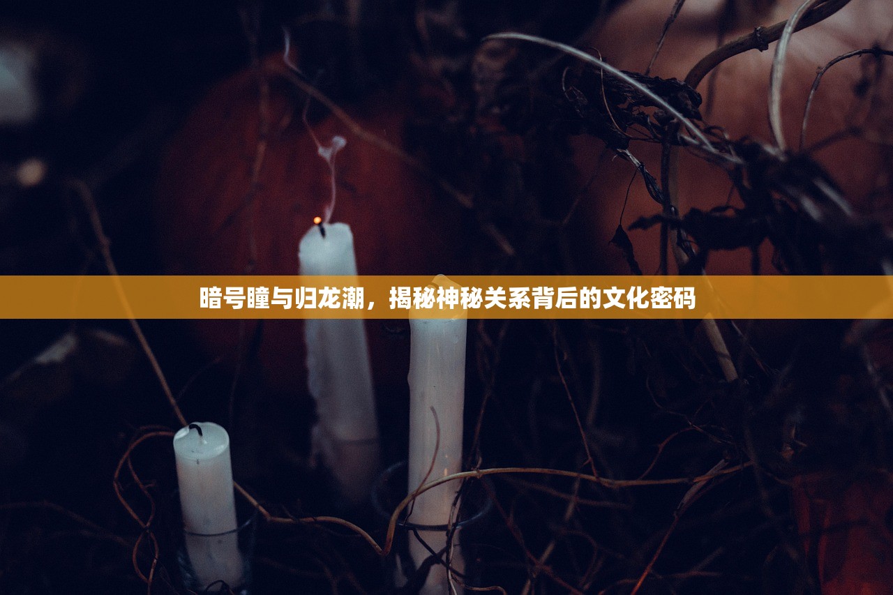 暗号瞳与归龙潮，揭秘神秘关系背后的文化密码