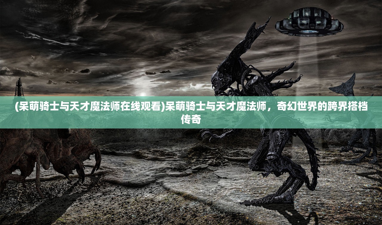 (呆萌骑士与天才魔法师在线观看)呆萌骑士与天才魔法师，奇幻世界的跨界搭档传奇