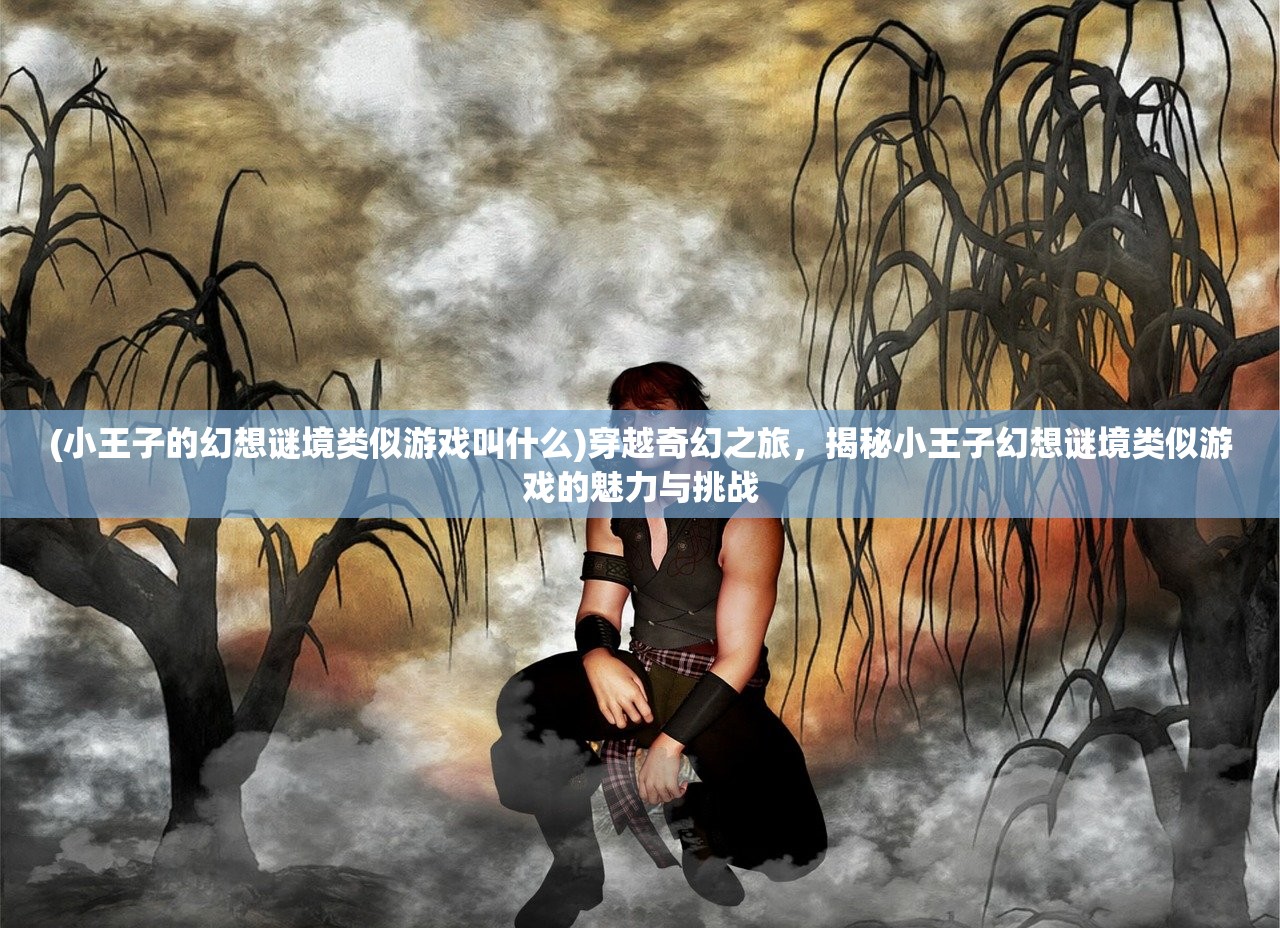 (小王子的幻想谜境类似游戏叫什么)穿越奇幻之旅，揭秘小王子幻想谜境类似游戏的魅力与挑战