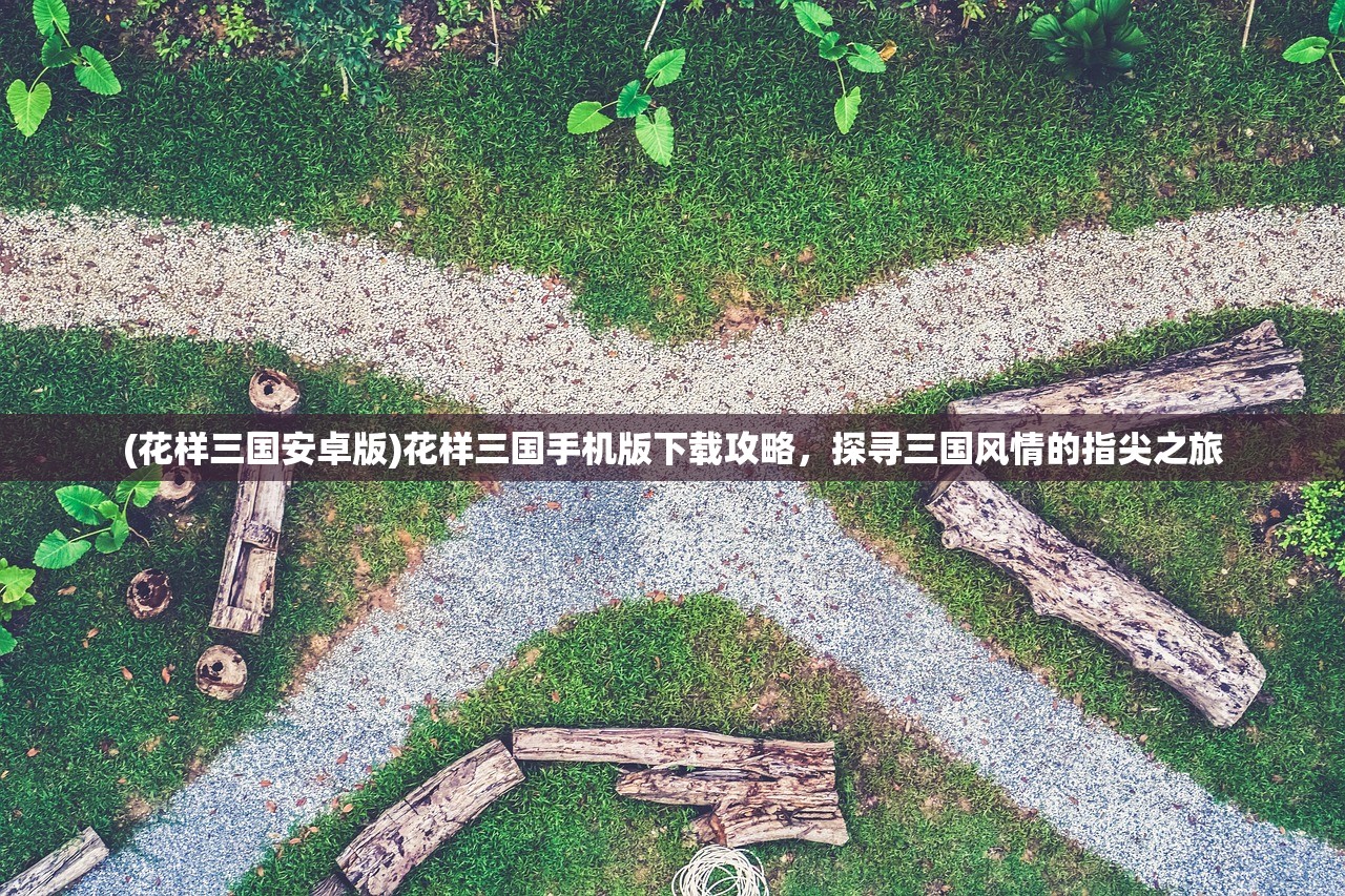 (花样三国安卓版)花样三国手机版下载攻略，探寻三国风情的指尖之旅