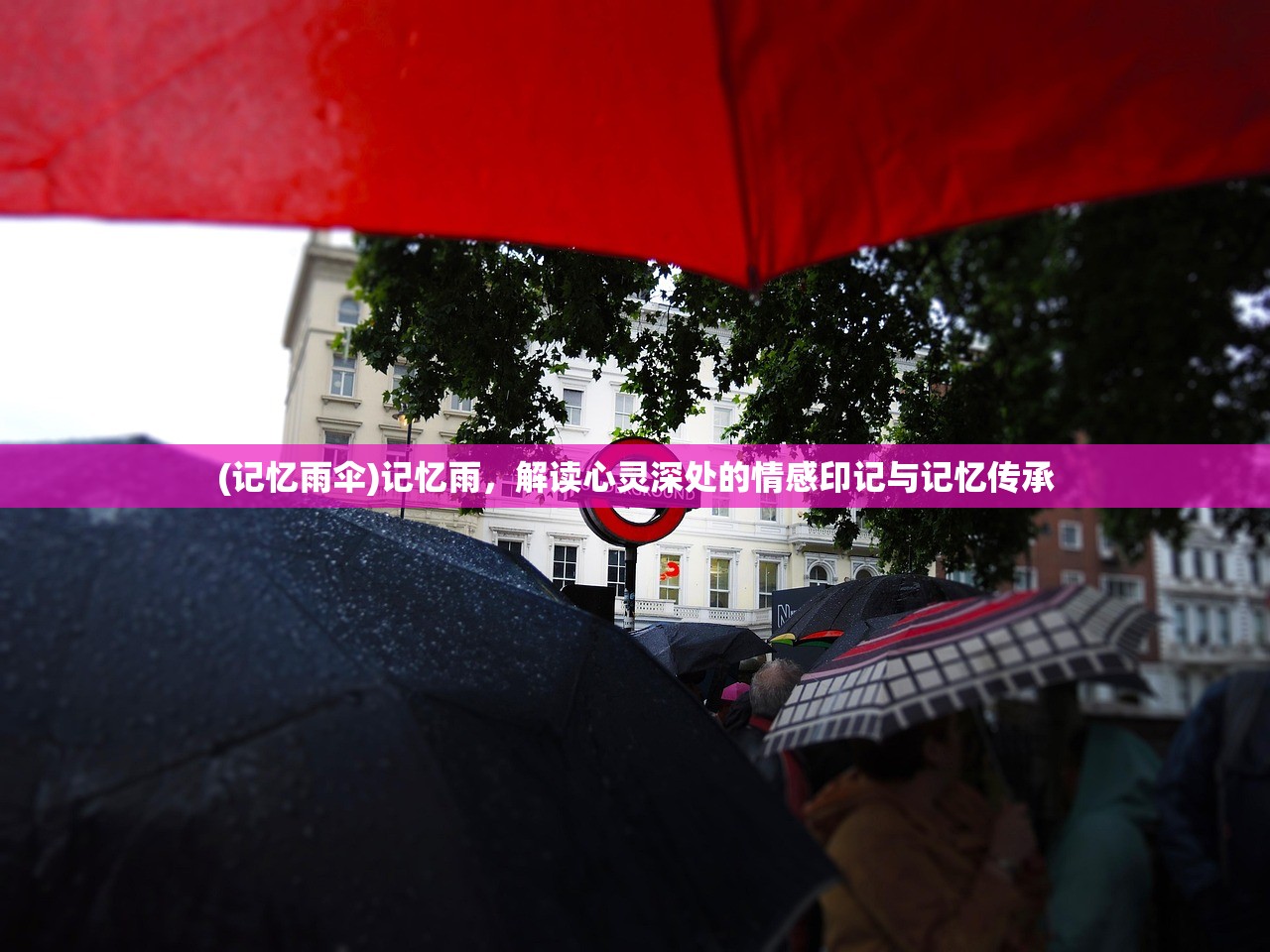 (记忆雨伞)记忆雨，解读心灵深处的情感印记与记忆传承