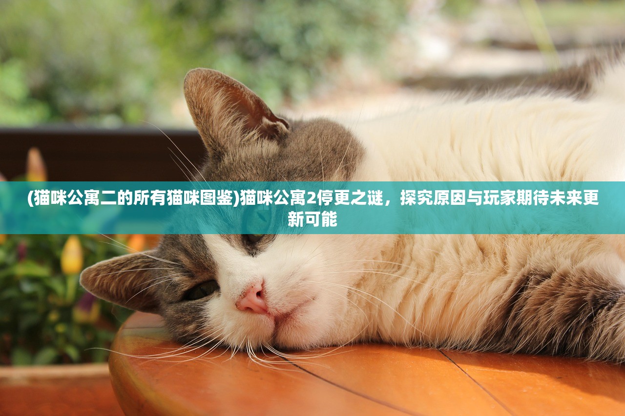 (猫咪公寓二的所有猫咪图鉴)猫咪公寓2停更之谜，探究原因与玩家期待未来更新可能