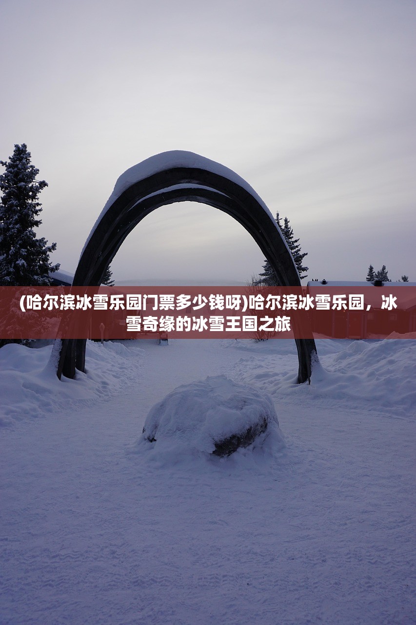 (哈尔滨冰雪乐园门票多少钱呀)哈尔滨冰雪乐园，冰雪奇缘的冰雪王国之旅