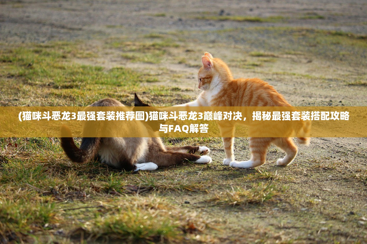 (猫咪斗恶龙3最强套装推荐图)猫咪斗恶龙3巅峰对决，揭秘最强套装搭配攻略与FAQ解答