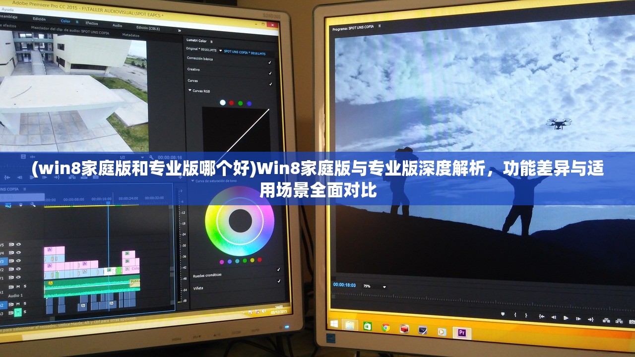 (win8家庭版和专业版哪个好)Win8家庭版与专业版深度解析，功能差异与适用场景全面对比